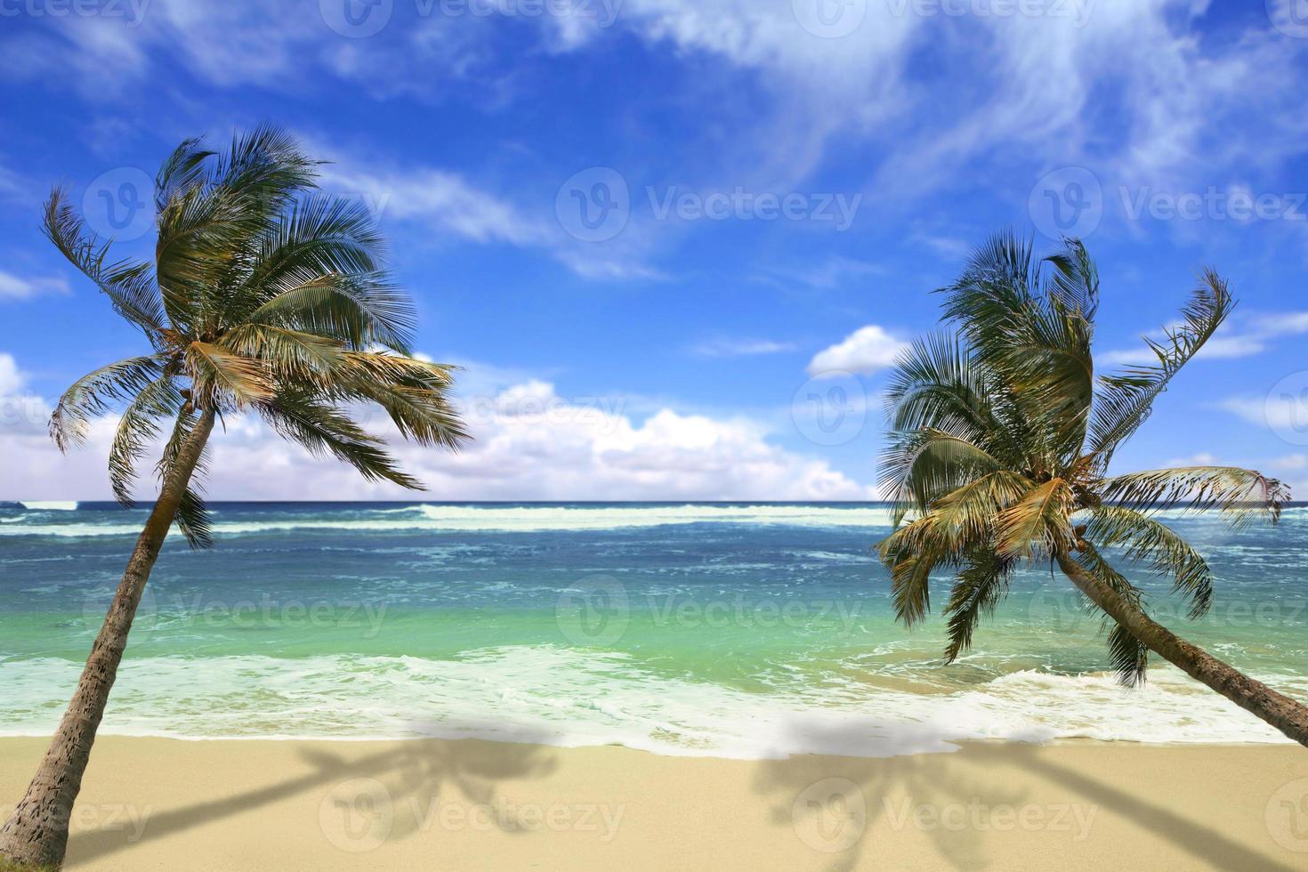 Island Pardise Beach en Hawaii foto