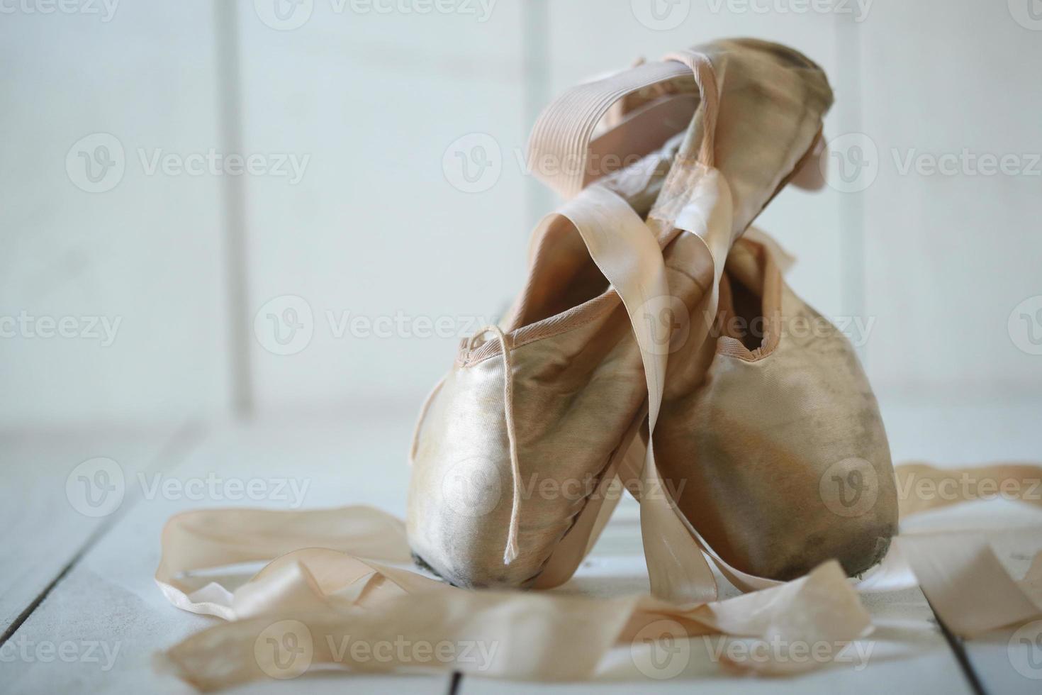 Posed Pointe Shoes in Natural Light photo