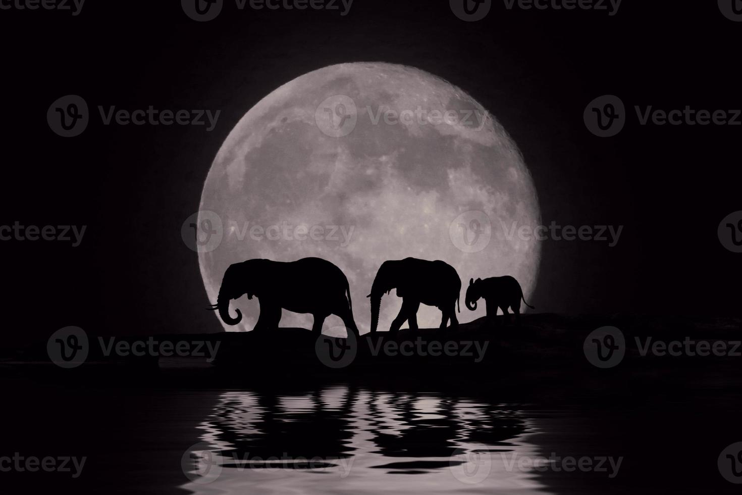 Beautiful Silhouette of African Elephants at Moonrise photo