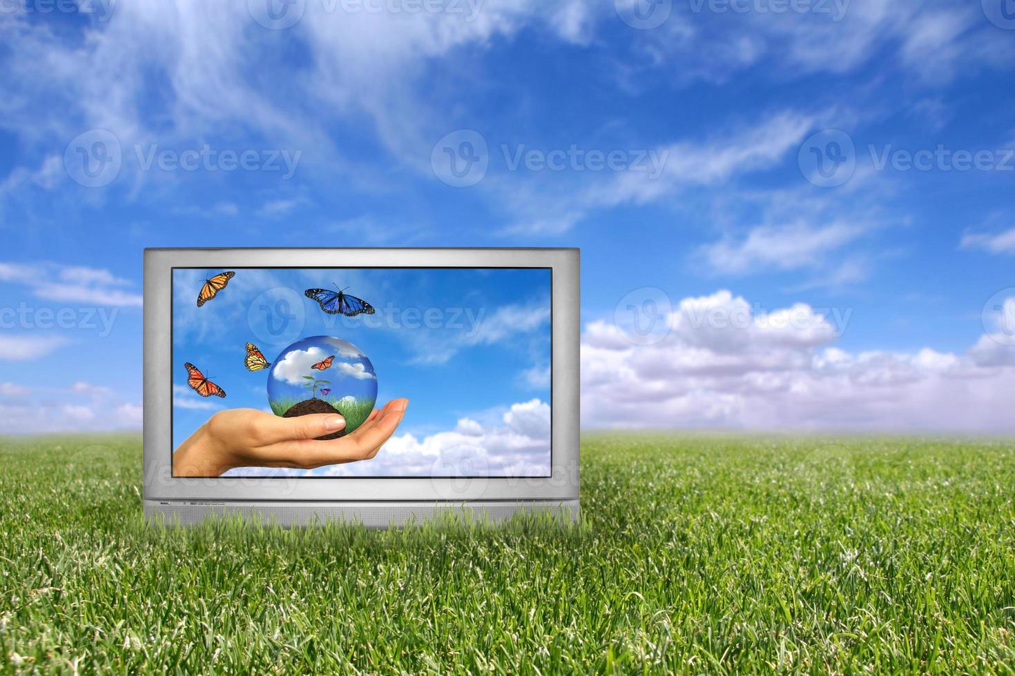 Beautiful Field of Green Grass and Blue Cloudy Sky Earth Concept photo