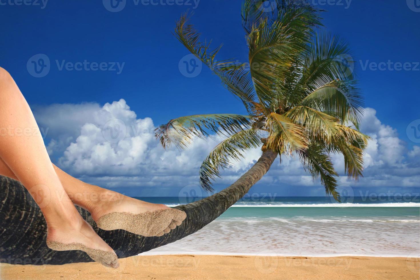 Total Relaxation at the Beach photo