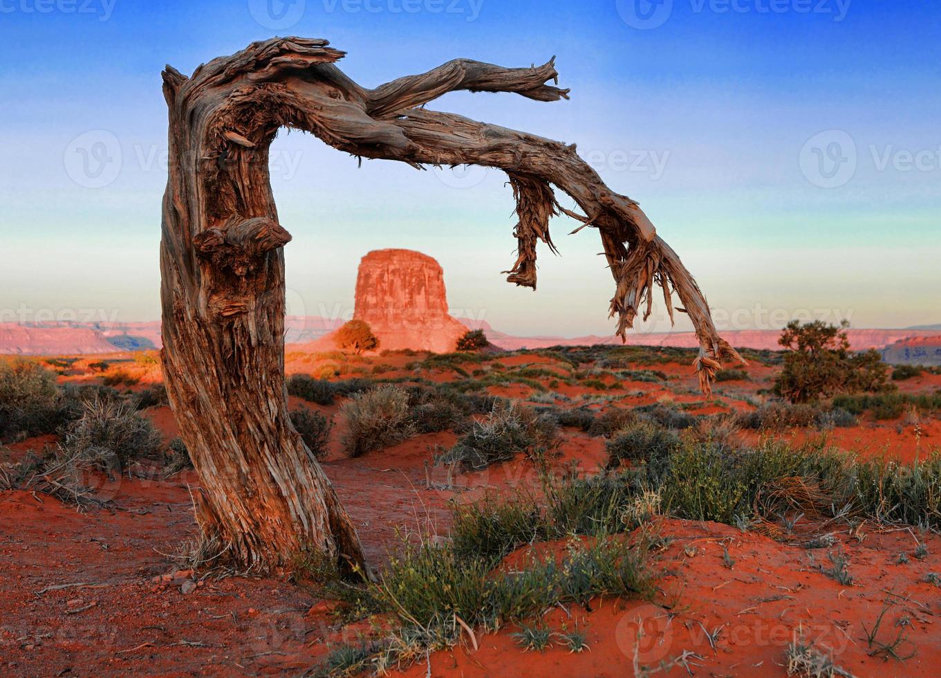 Monument Valley Landscape photo