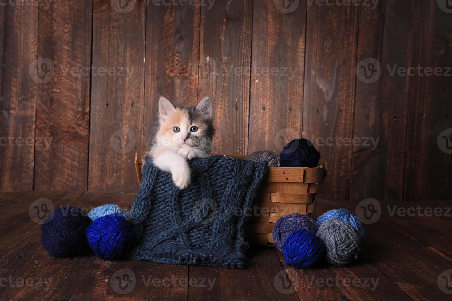 Kitten in a Basket of Knitting Yarn on Wooden Background photo