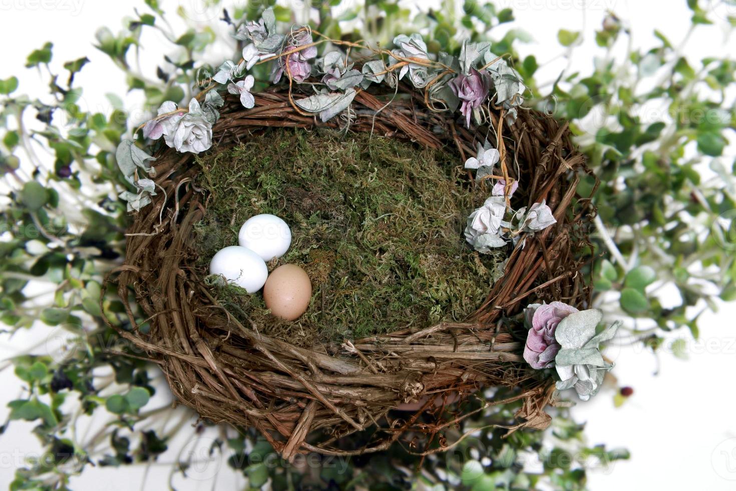 Nest Fantasy Photo Background for Digital Manipulation