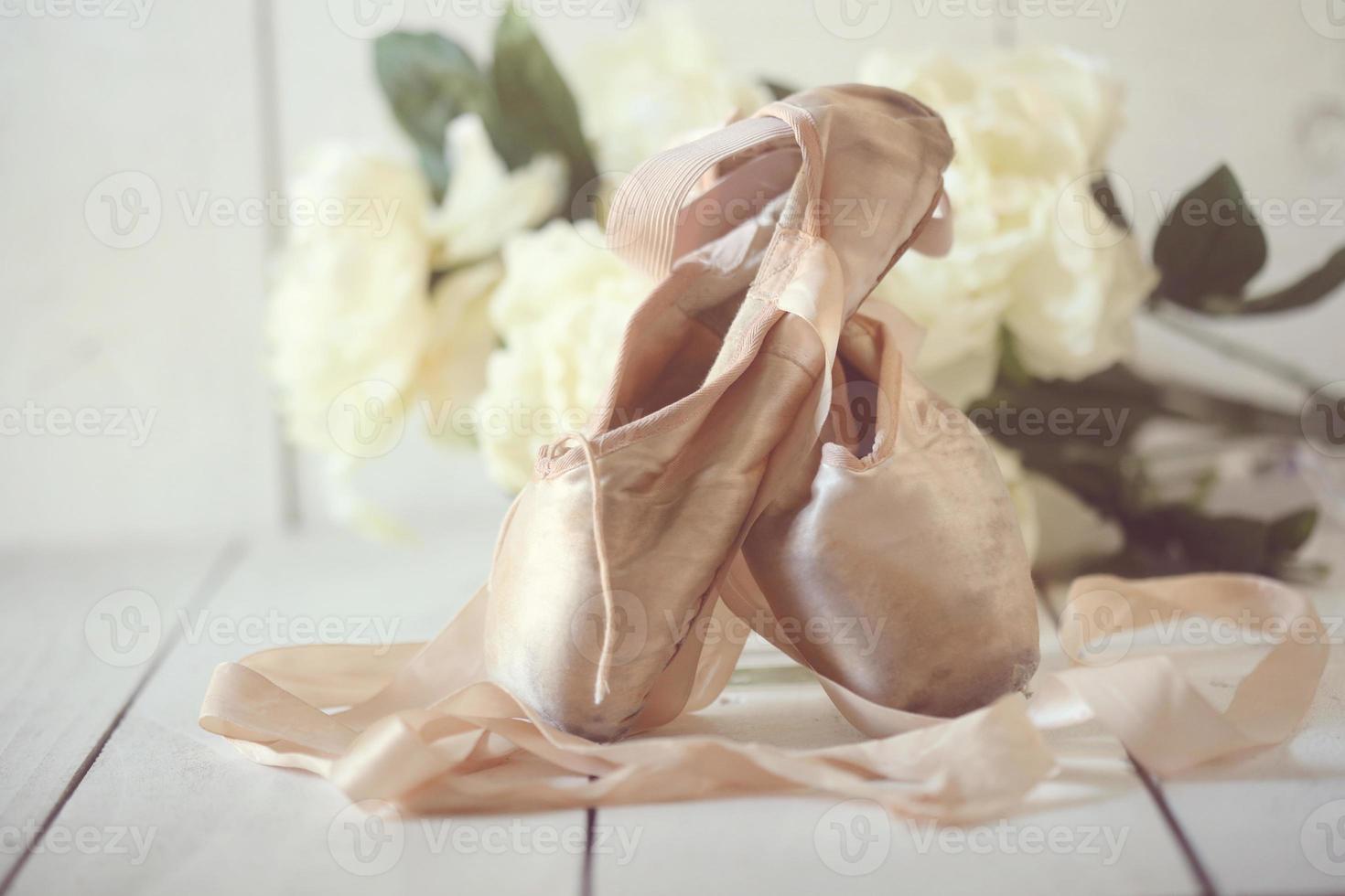 Posed Pointe Shoes in Natural Light photo