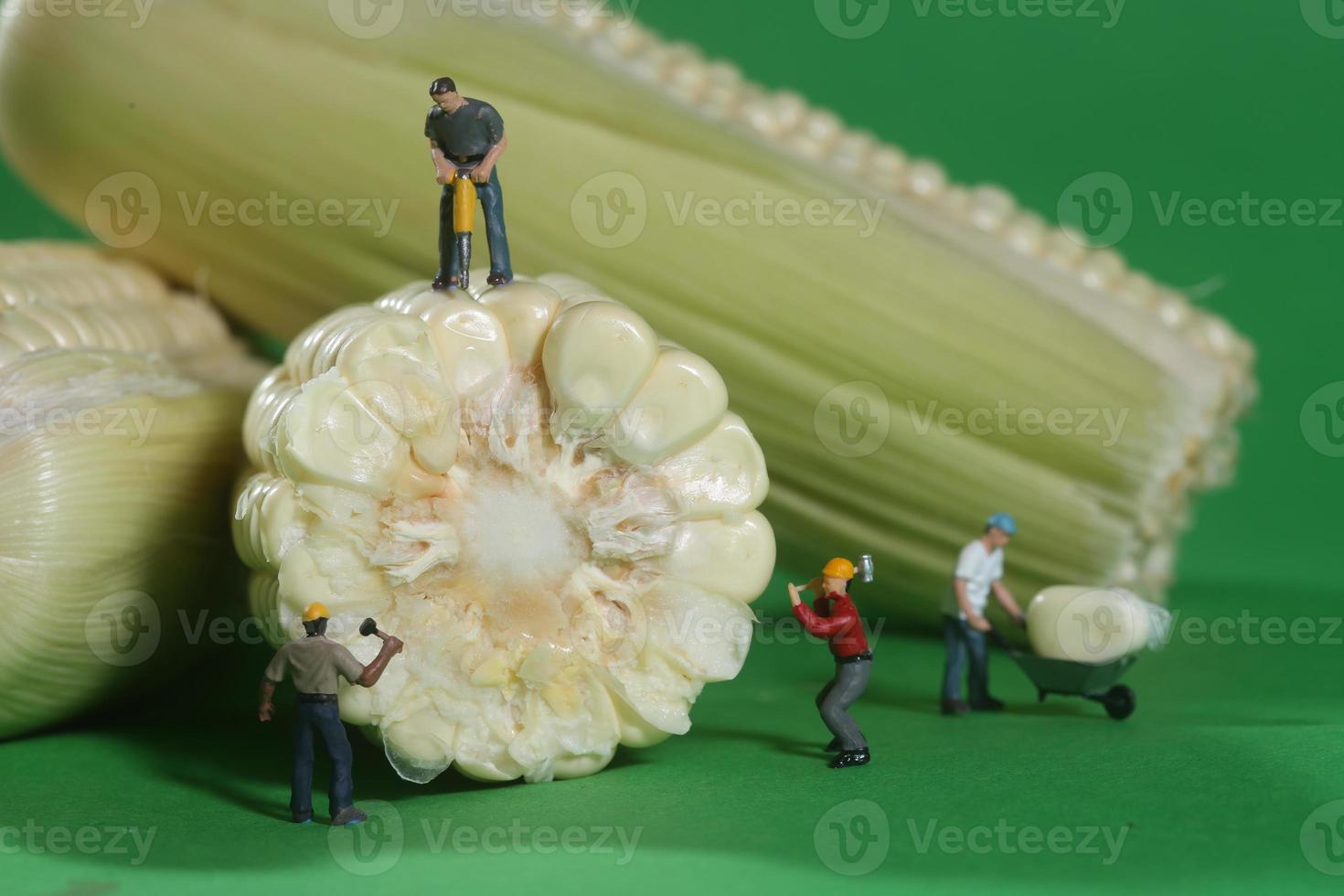 Trabajadores de la construcción en miniatura en imágenes conceptuales de alimentos con maíz foto