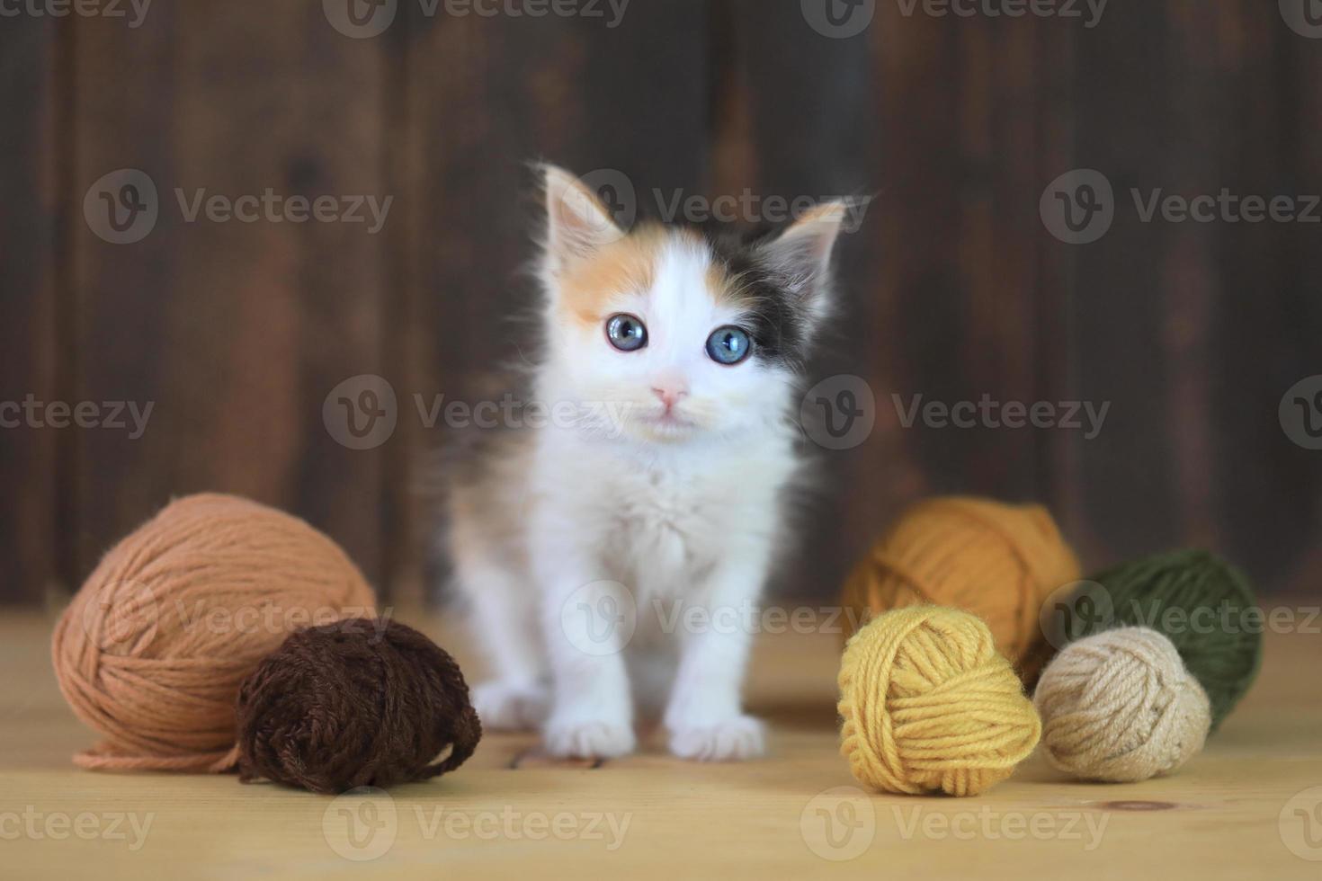 Tiny Calico Kitten With Yarn on a Wooden Background photo