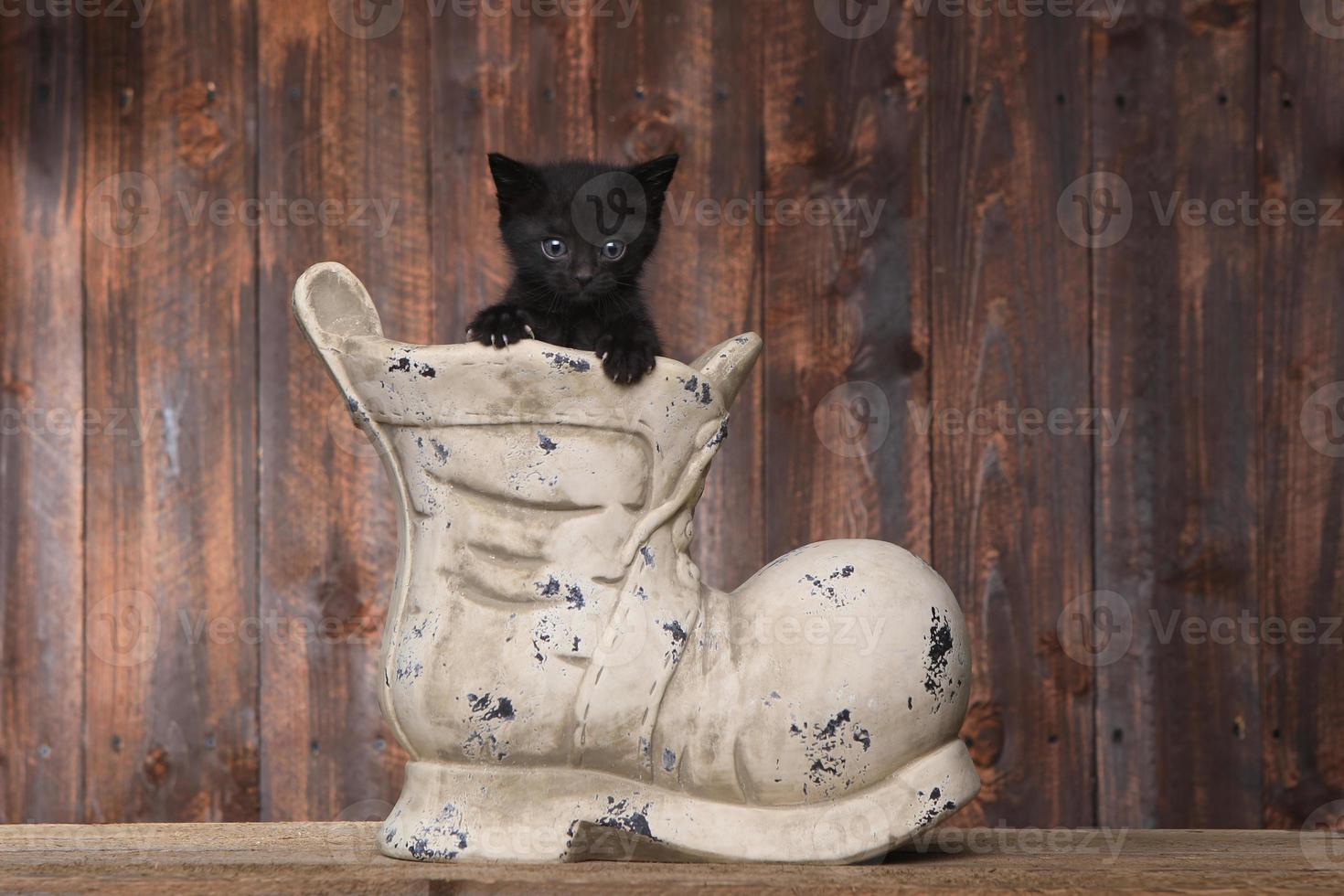 Adorable gatito en un viejo zapato de arranque sobre fondo de madera foto