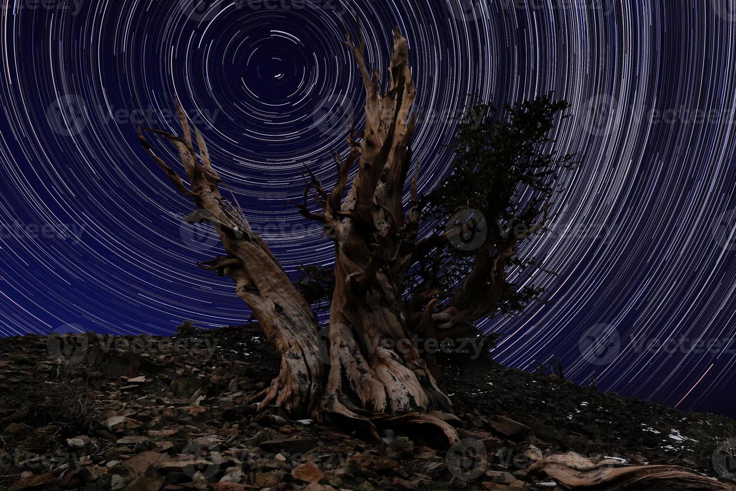 Light Painted Landscape of Camping and Stars photo