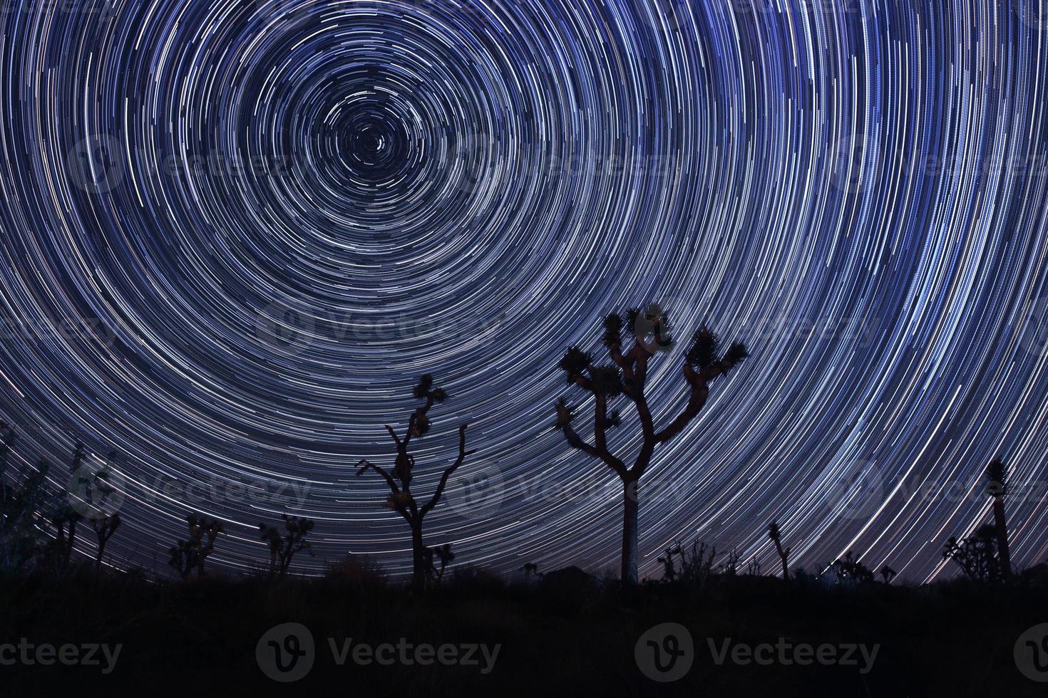 Star Trails and Milky Way in Joshua Tree National Park photo