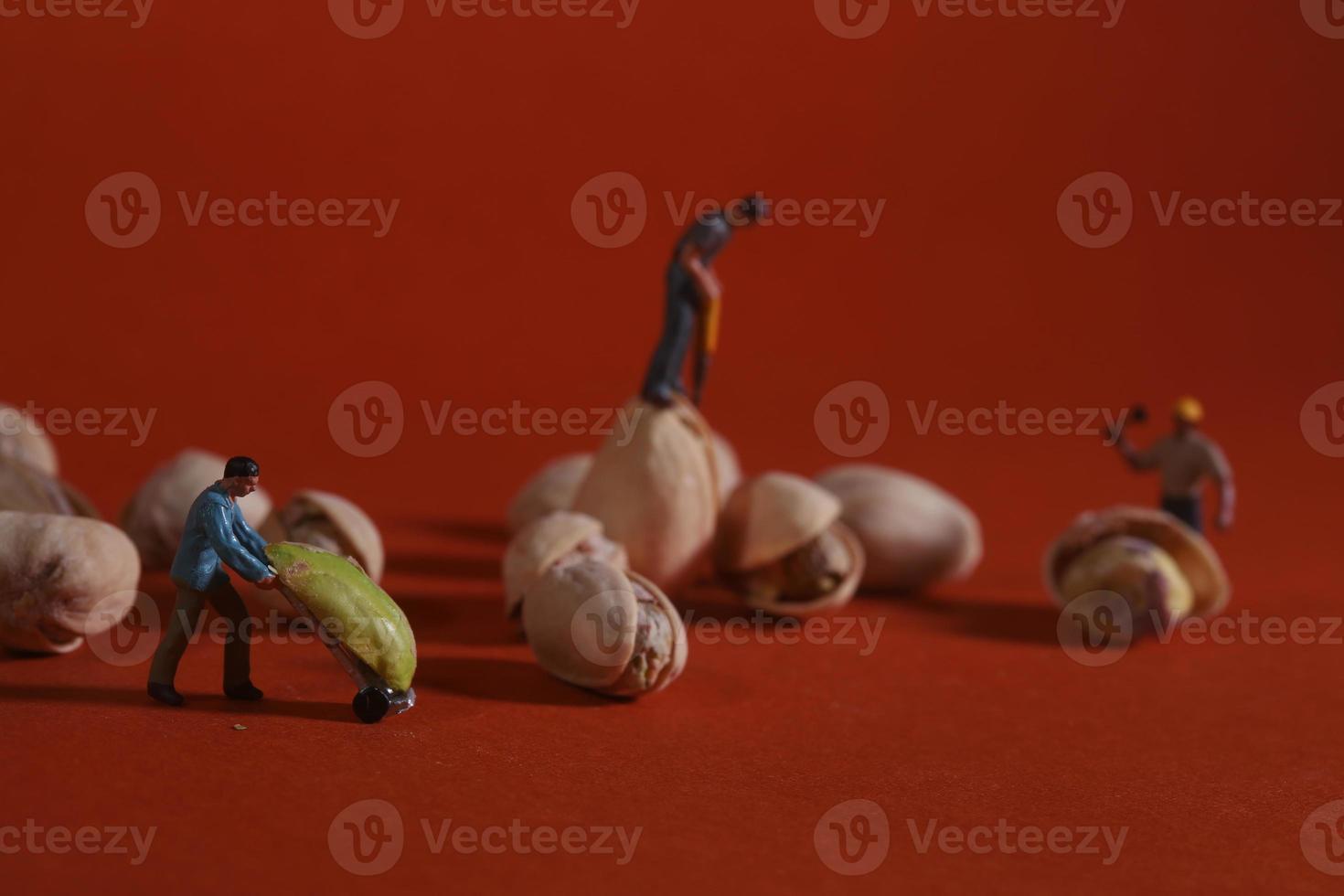 Construction Workers in Conceptual Food Imagery With Pistachio Nuts photo
