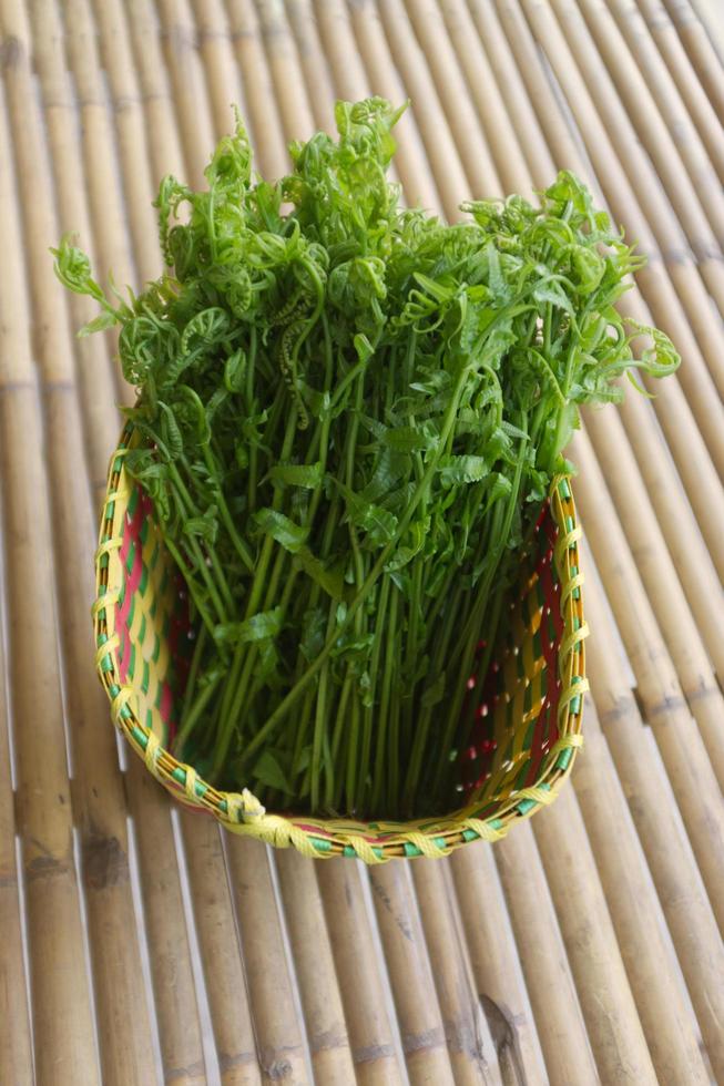 helecho paco, helecho vegetal pequeño, helecho vegetal en canasta foto