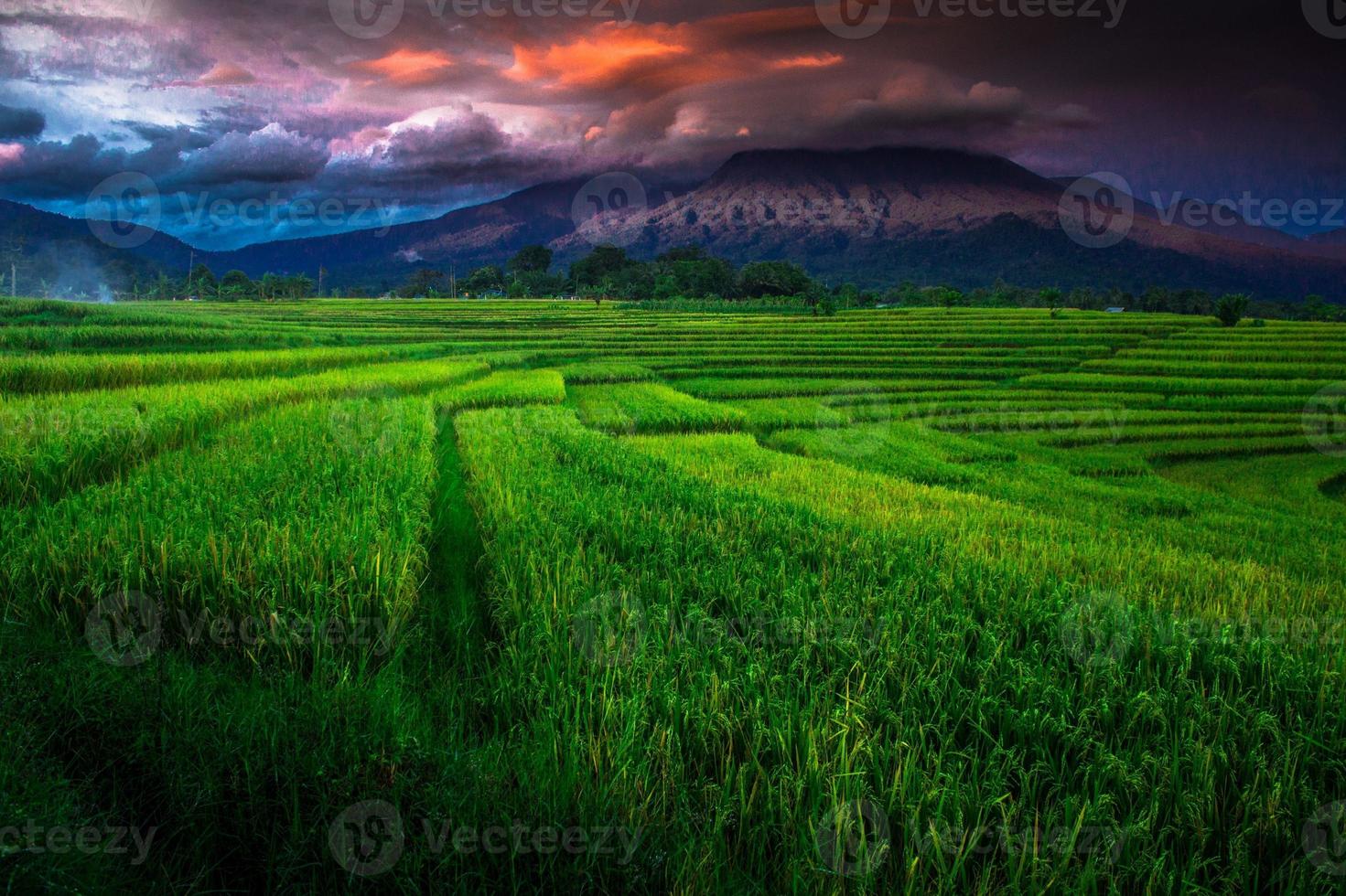 la vista de los campos de arroz verde se extiende con montañas azules foto