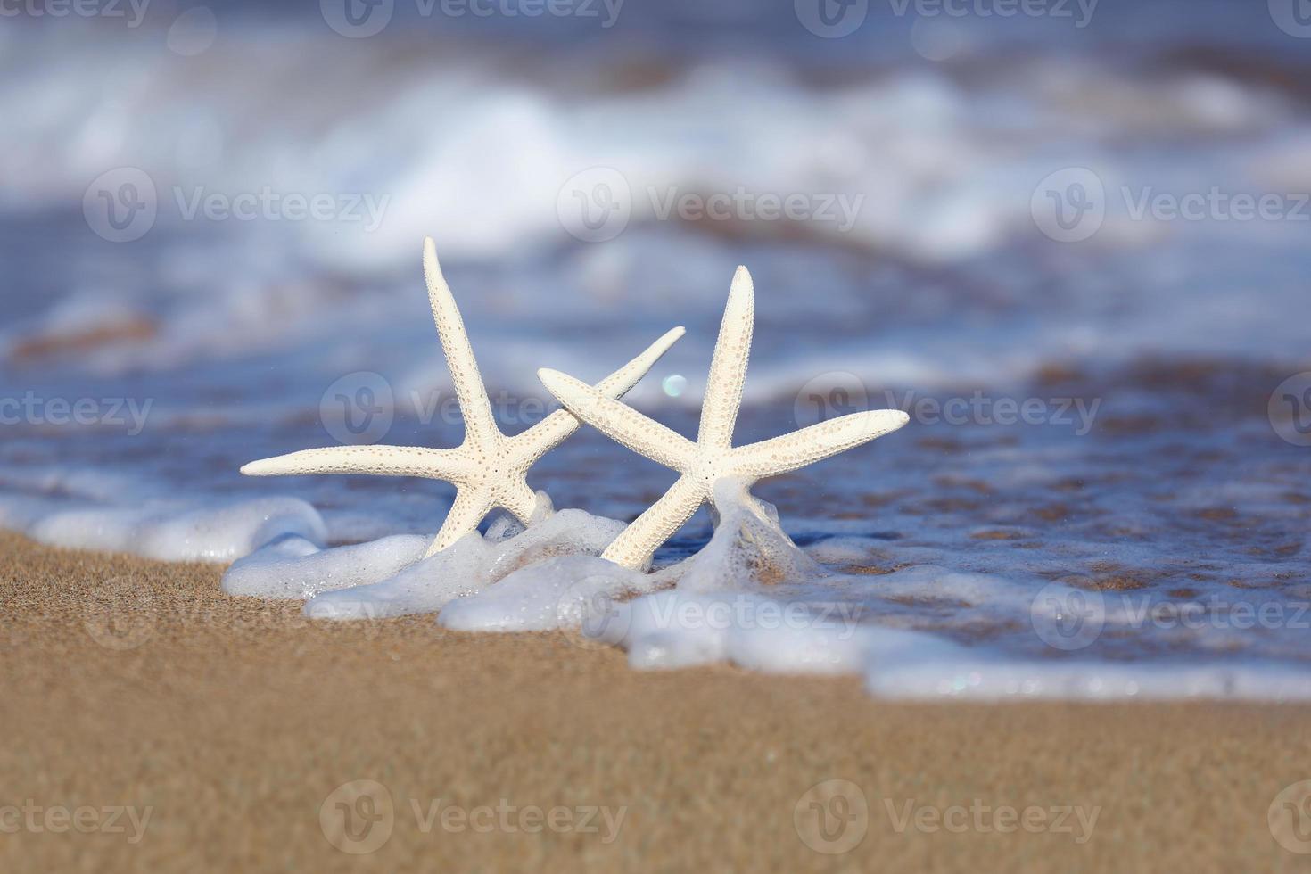 estrella de mar en la arena con olas de espuma de mar foto