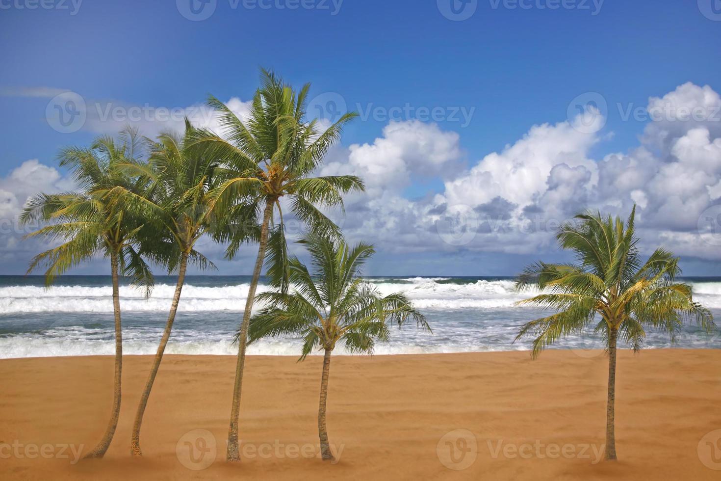 hermosa imagen de playa de destino de viaje foto