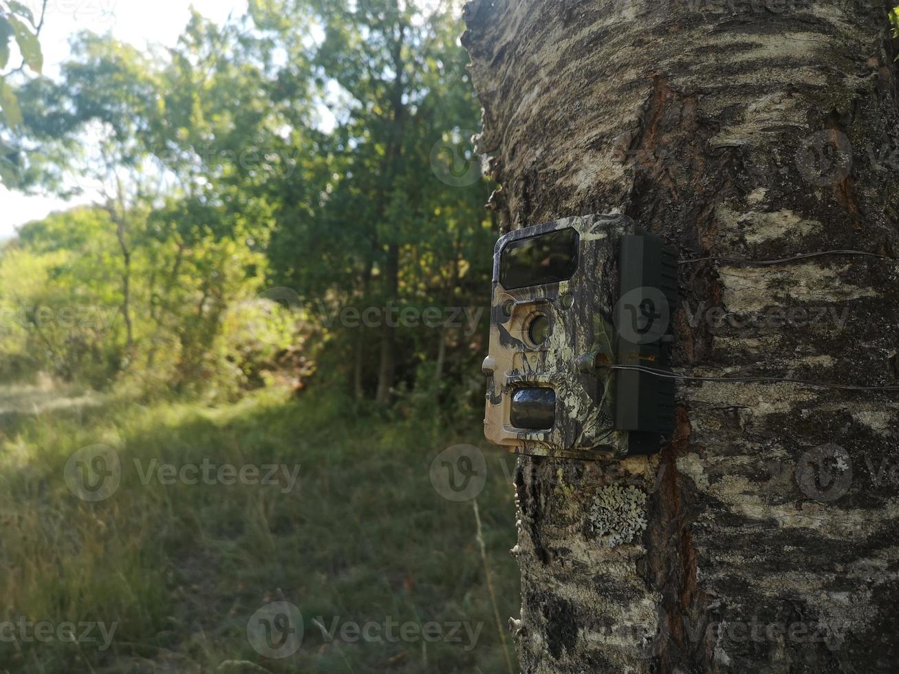 camera trap camouflaged in the woods photo