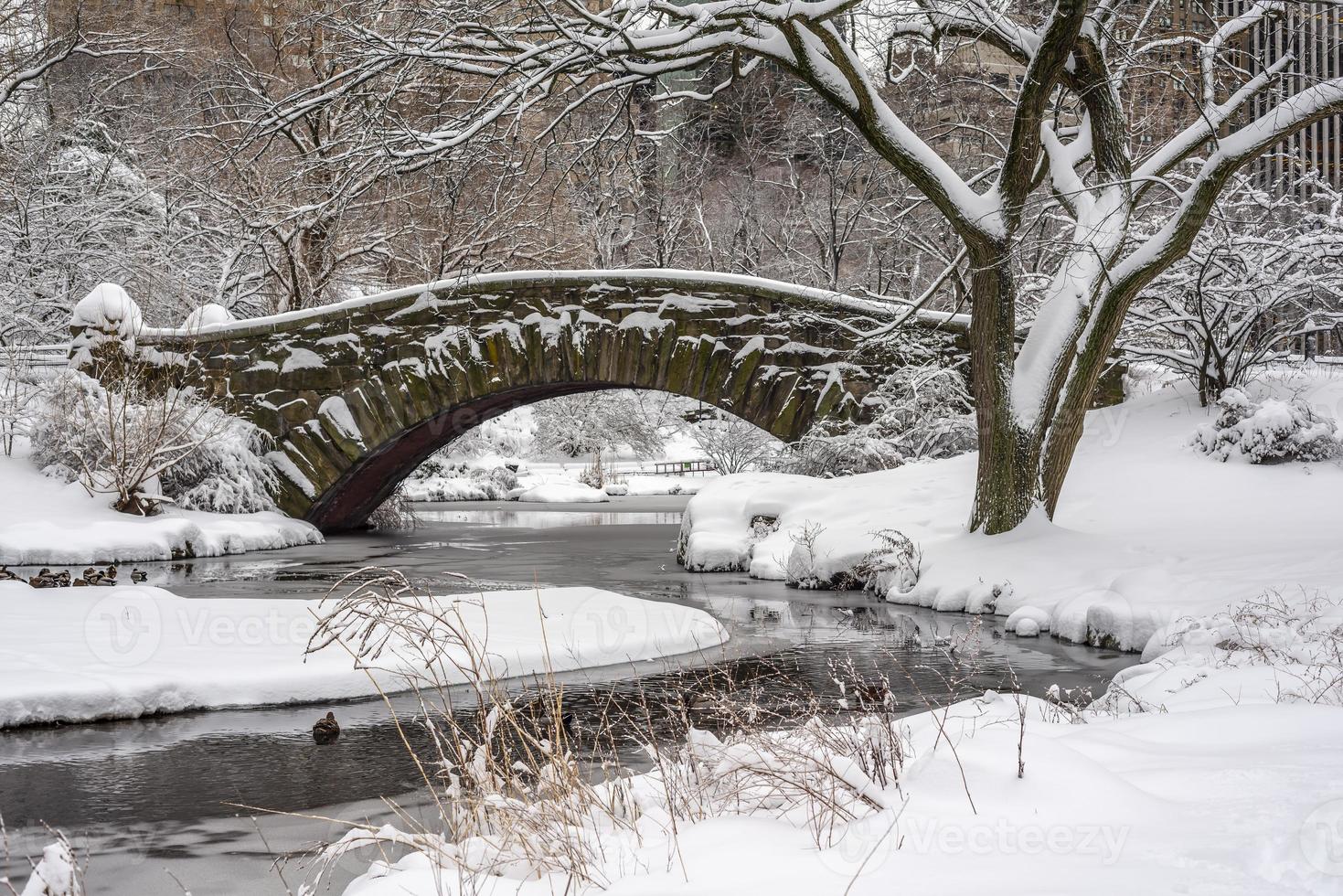 Puente de Gapstow en Central Park foto