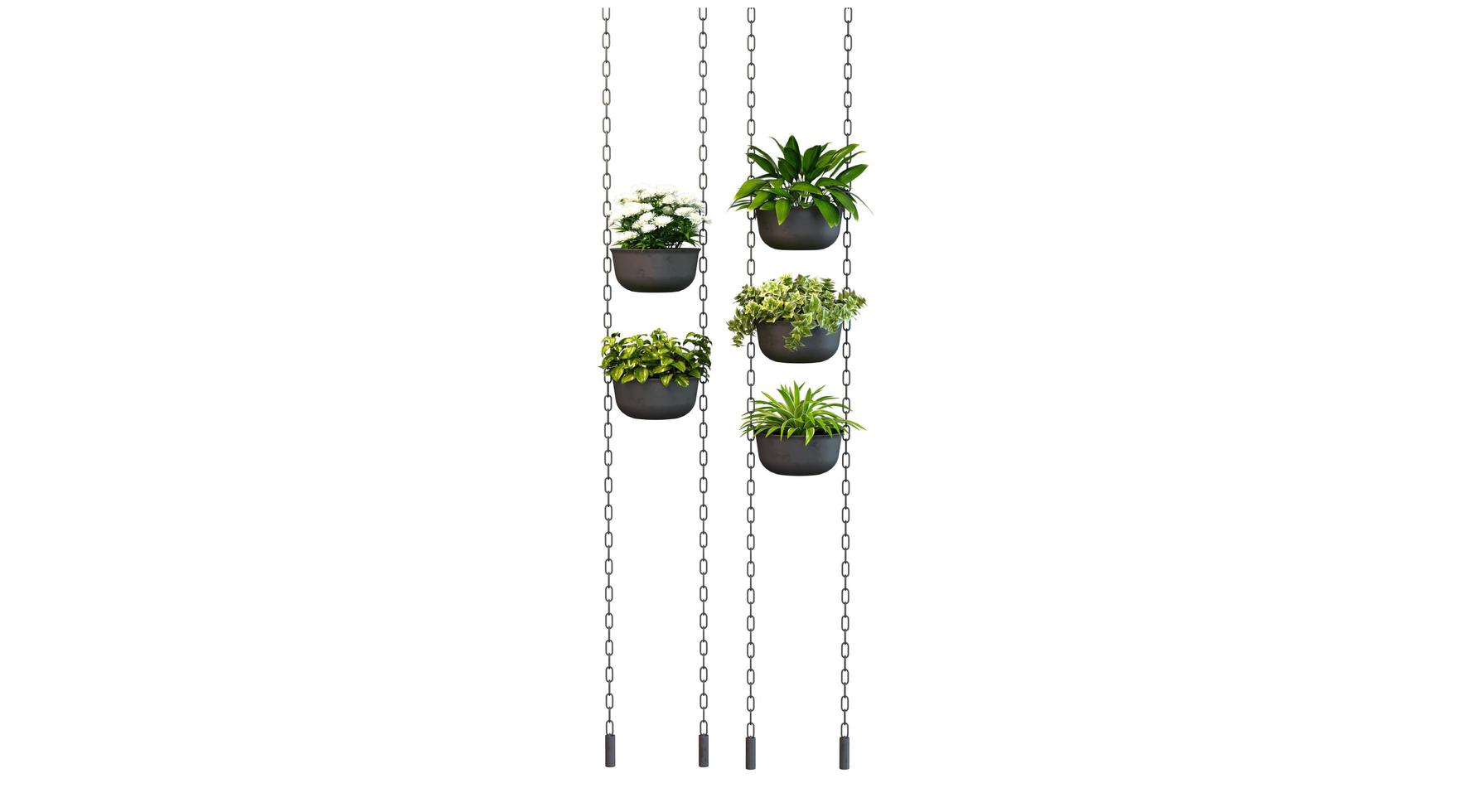 Hanging Plant 3d Rendering photo