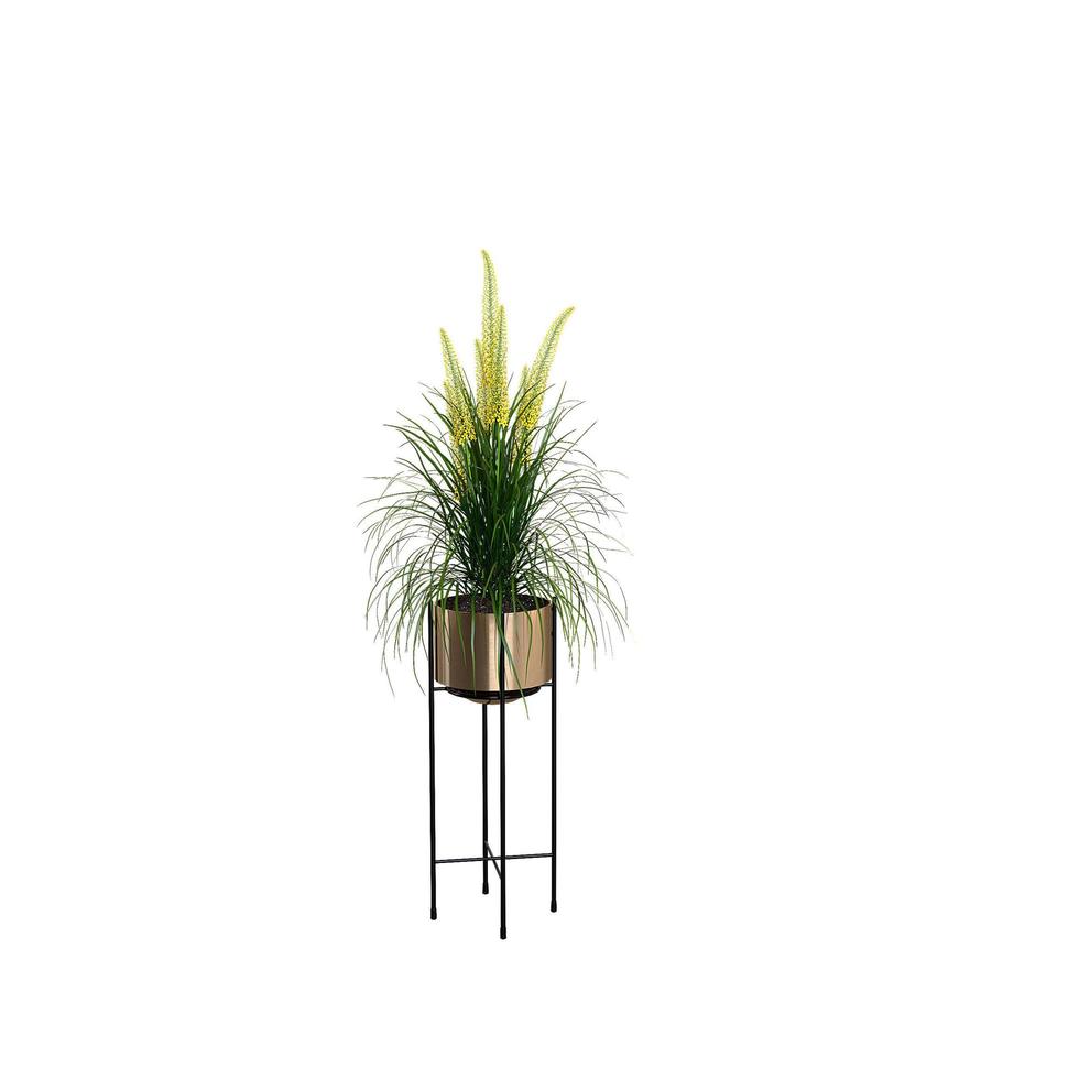 Realistic 3d render of potted plant isolated photo