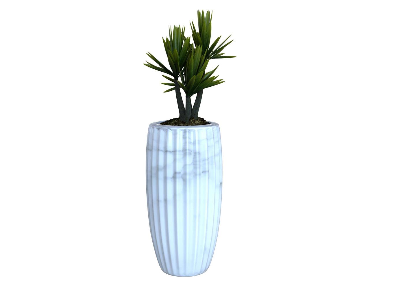 Plant 3d Rendering photo
