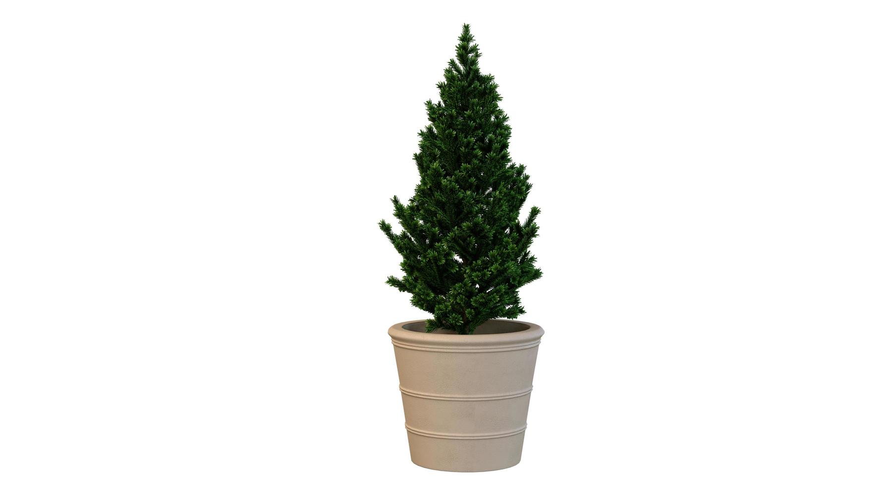 House Trees in Large Pots 3d Rendering photo