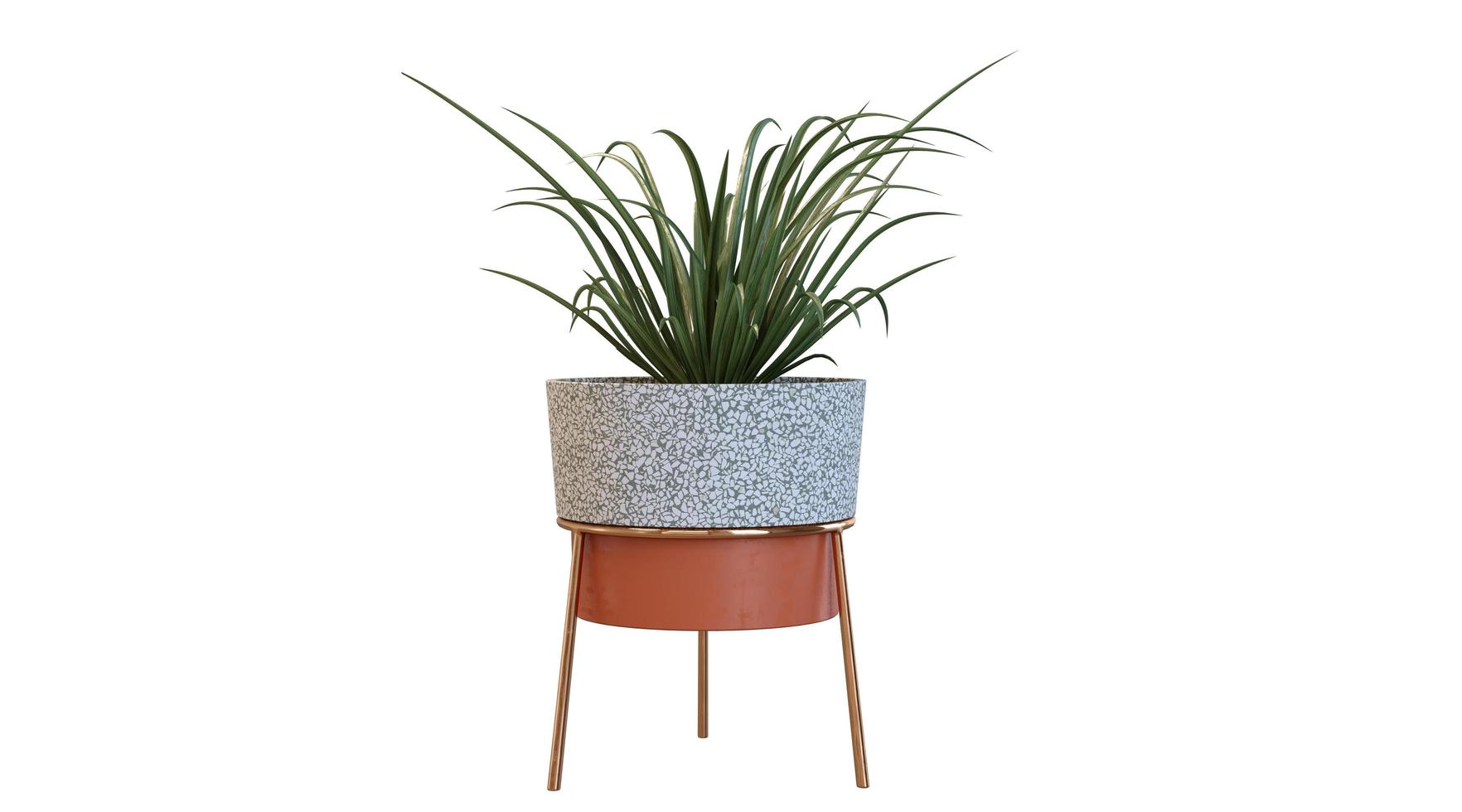 Green Plant in Marble Pot photo