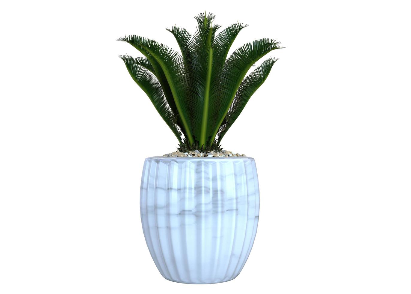 Plant 3d Rendering photo