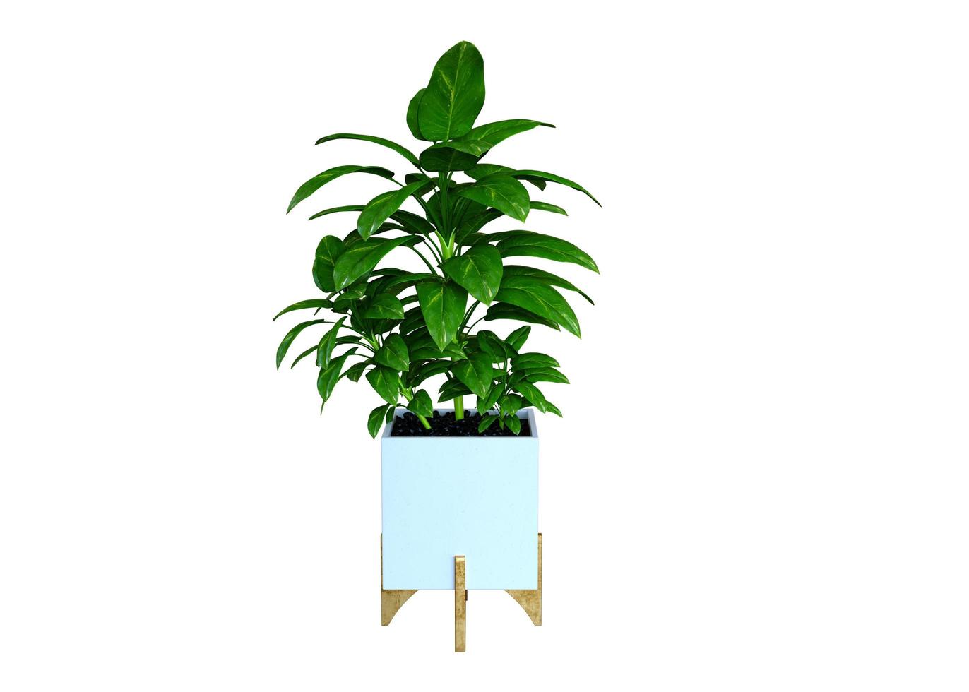 Plant 3d Rendering photo