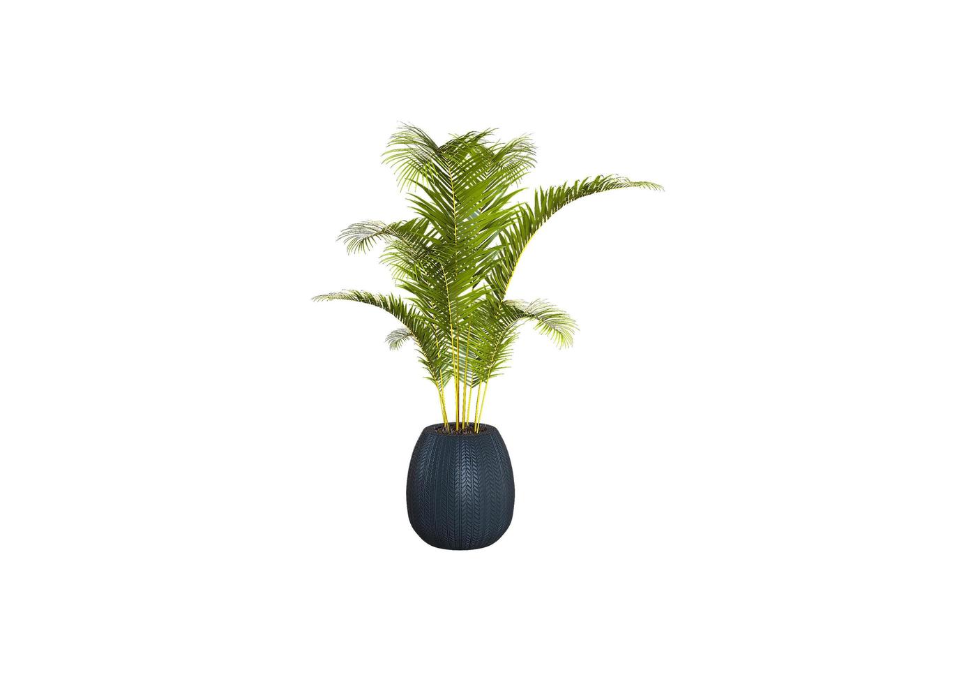 Green Plant 3d render photo