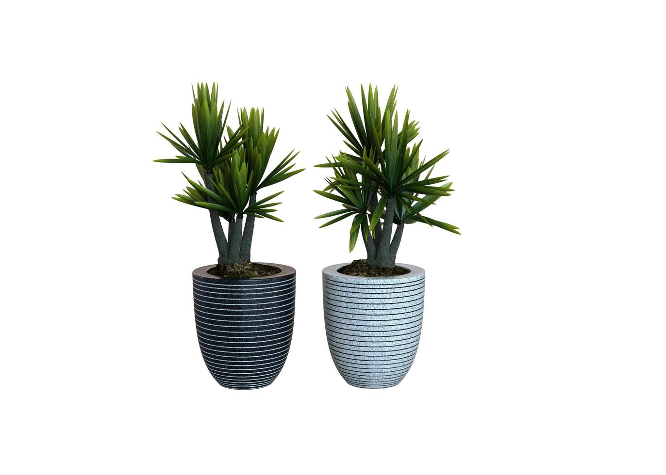 Binary Plant 3d Render photo