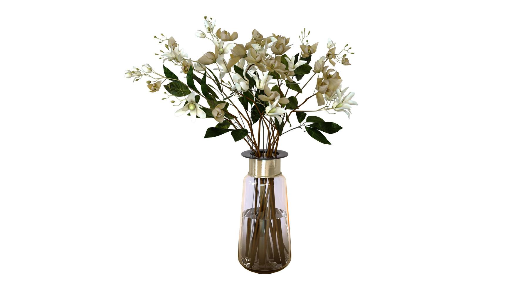 House Plants 3d Rendering photo