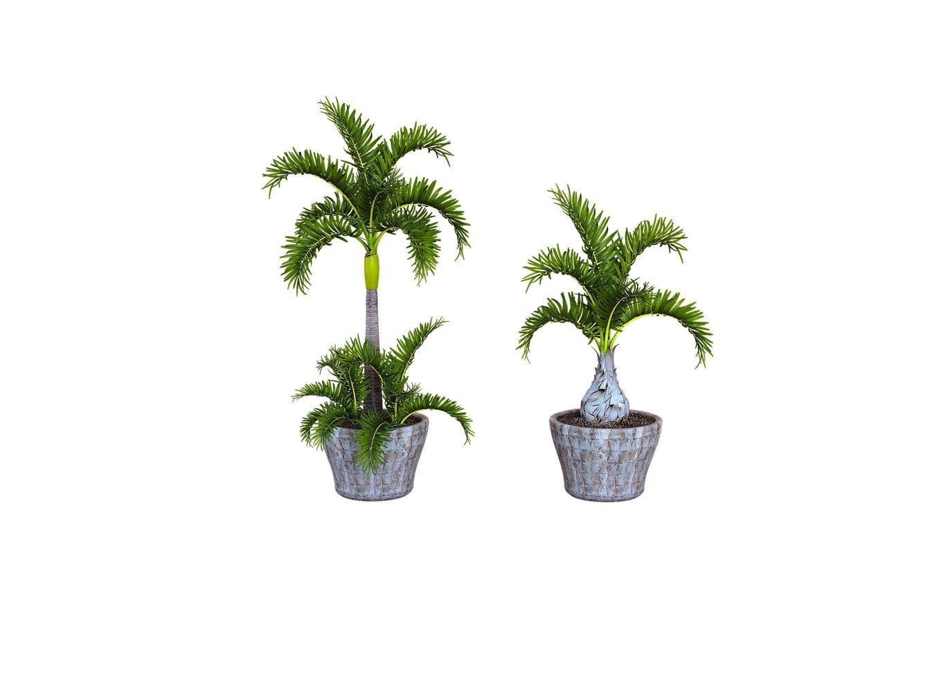 Realistic 3d render of potted plant isolated photo