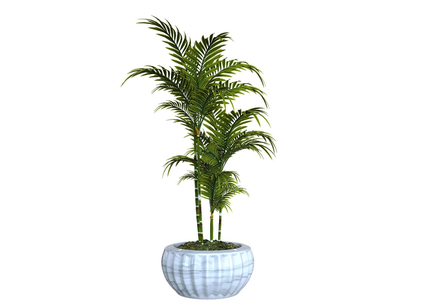 Plant 3d Rendering photo