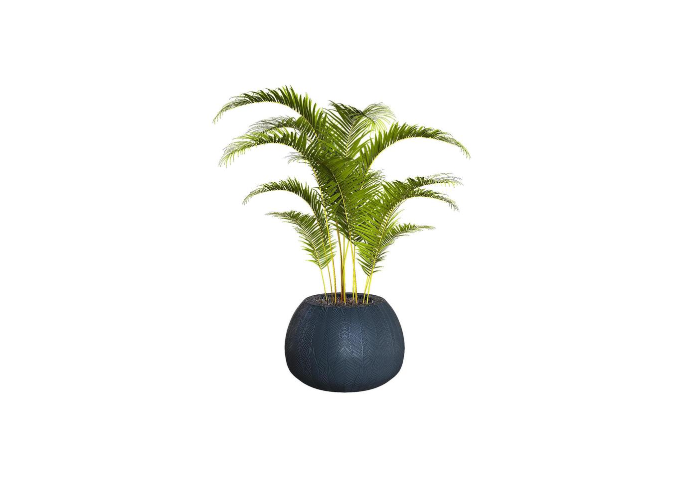 Realistic 3d render of potted plant isolated photo