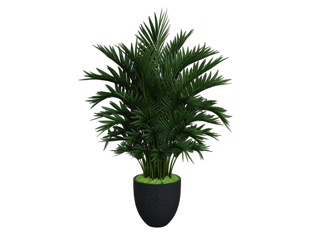 Green Plant 3d Rendering photo