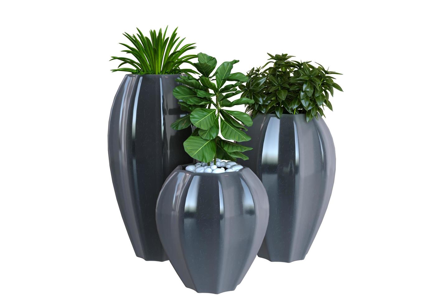 Three Different Plants 3d Render photo