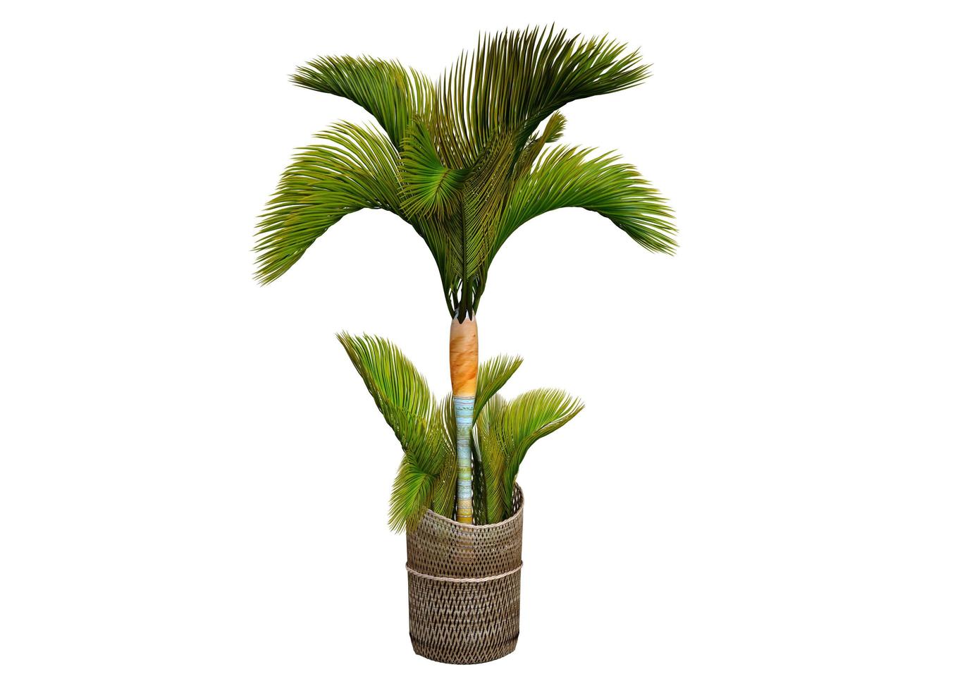 Plants in Wooden Pots photo