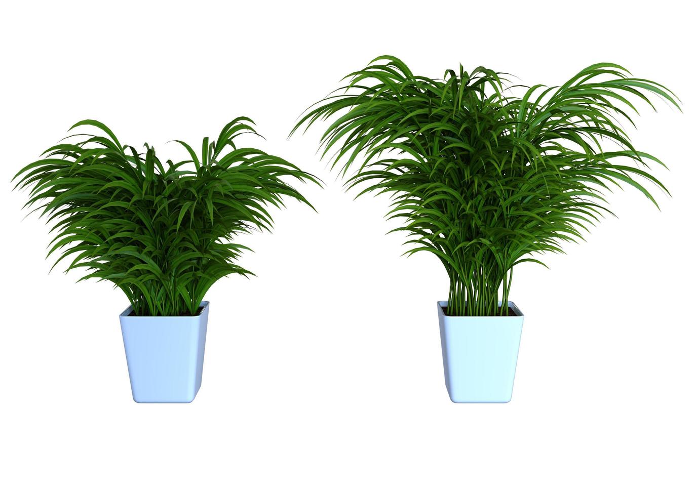 Plant 3d Rendering photo