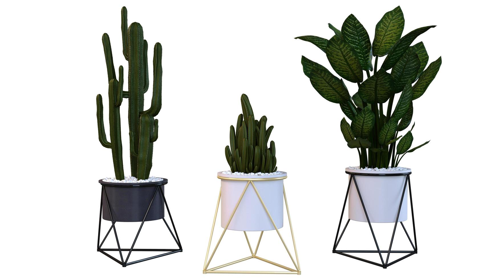 Triple Plant Set 3d Rendering photo