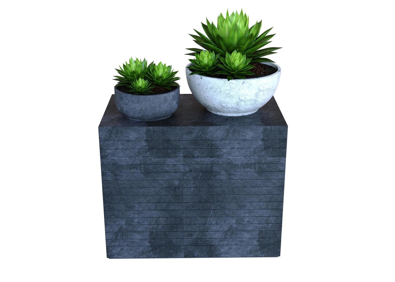 Plant 3d Rendering photo