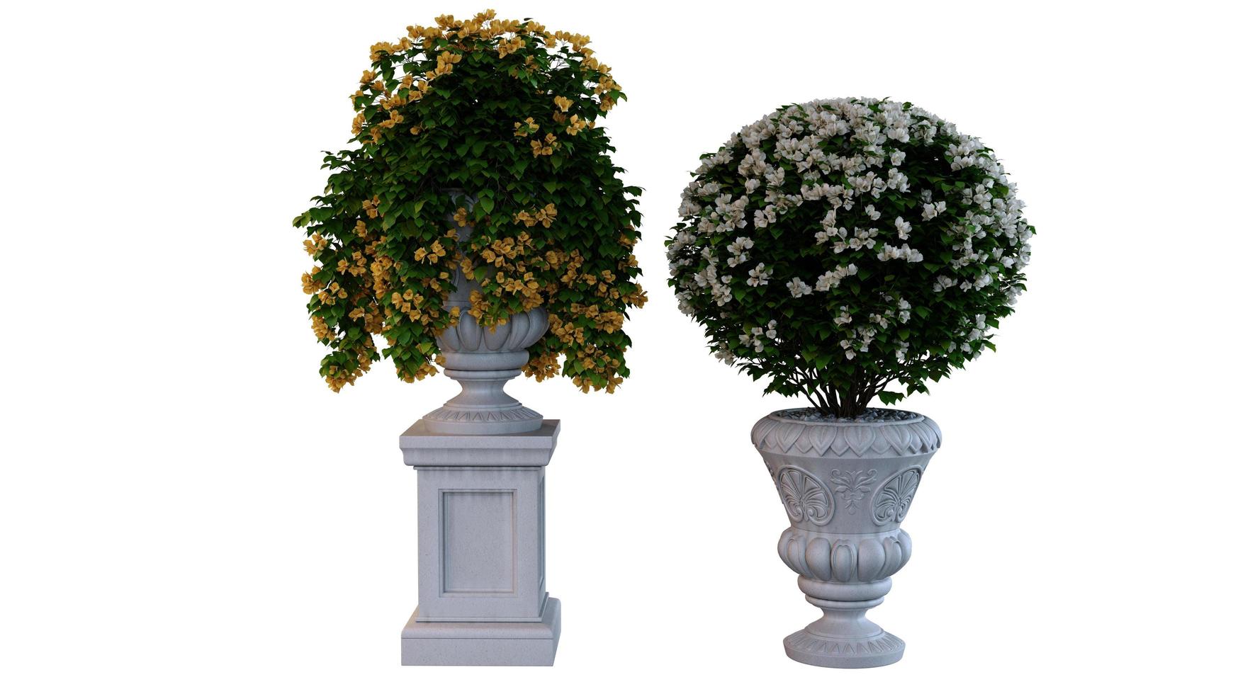 Yellow and White Flowering Plants 3d Rendering photo