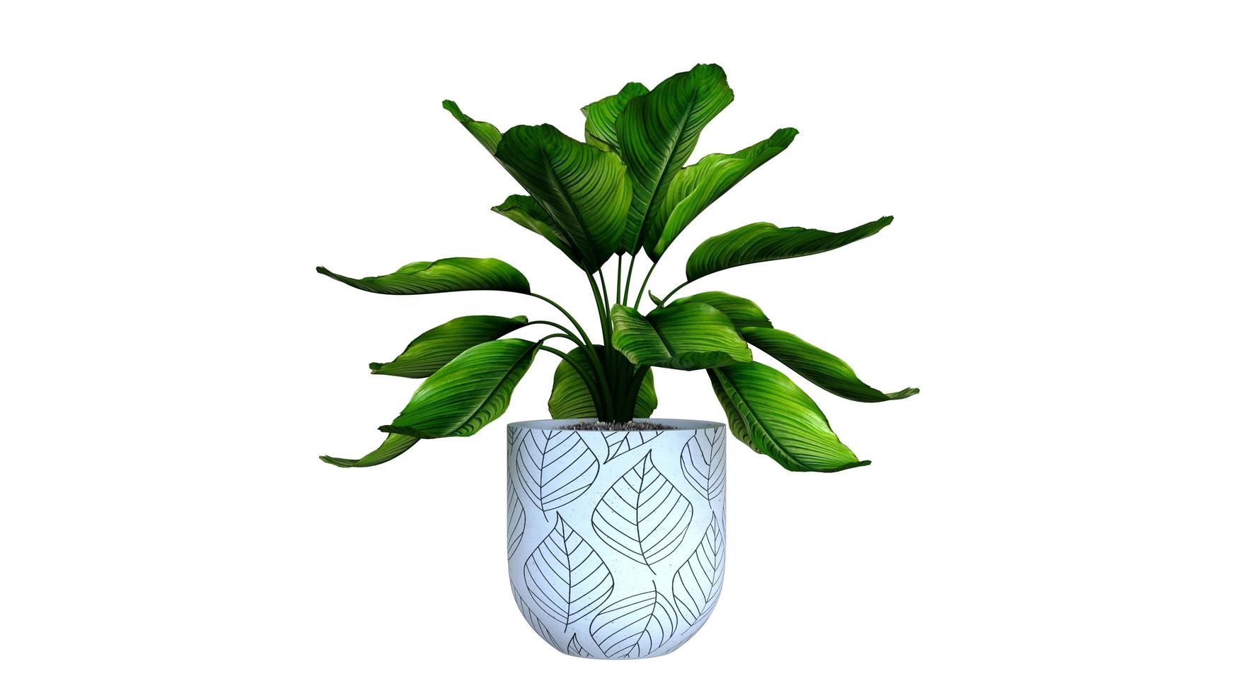 Plant 3d Rendering photo