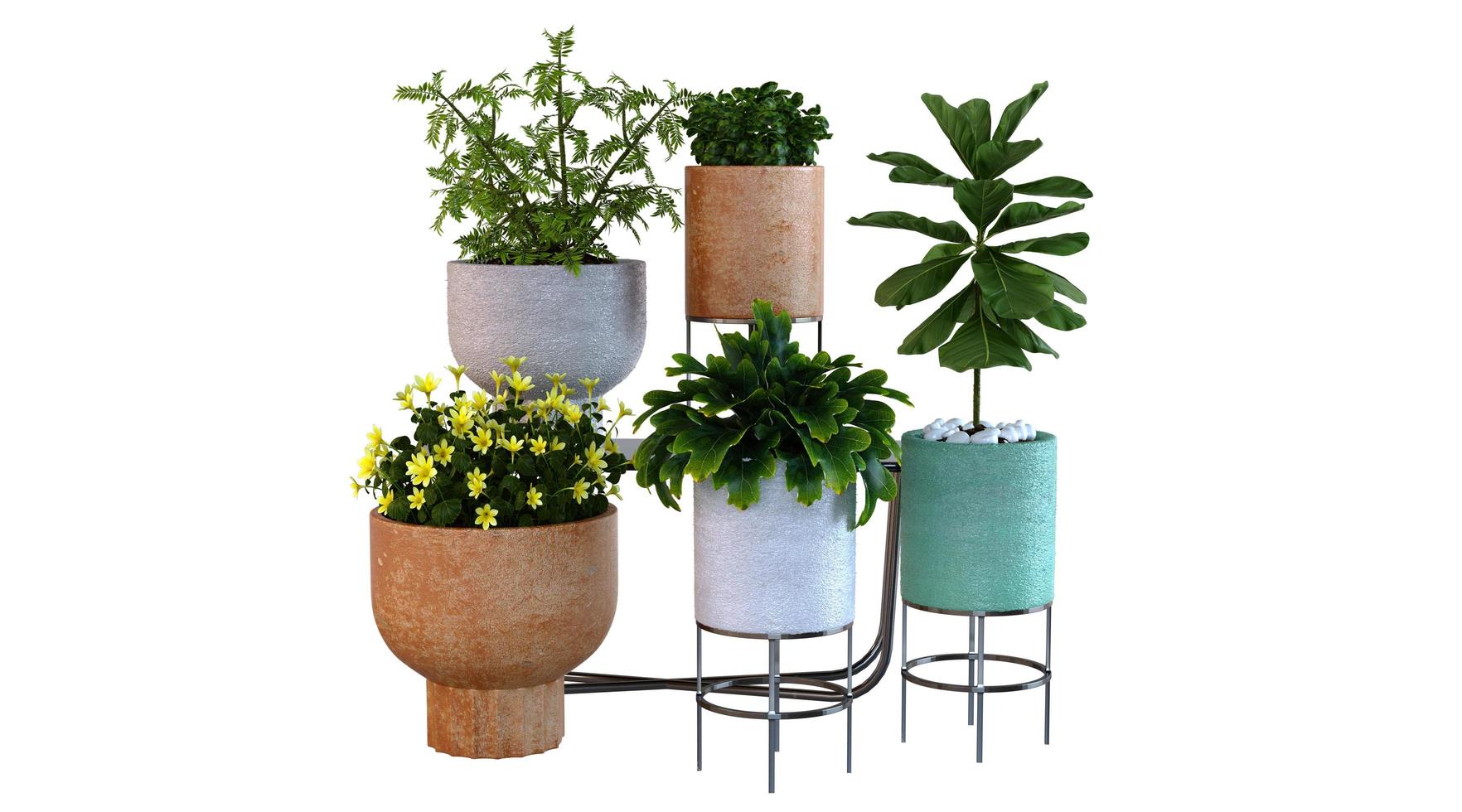 Plant Set 3d Render photo