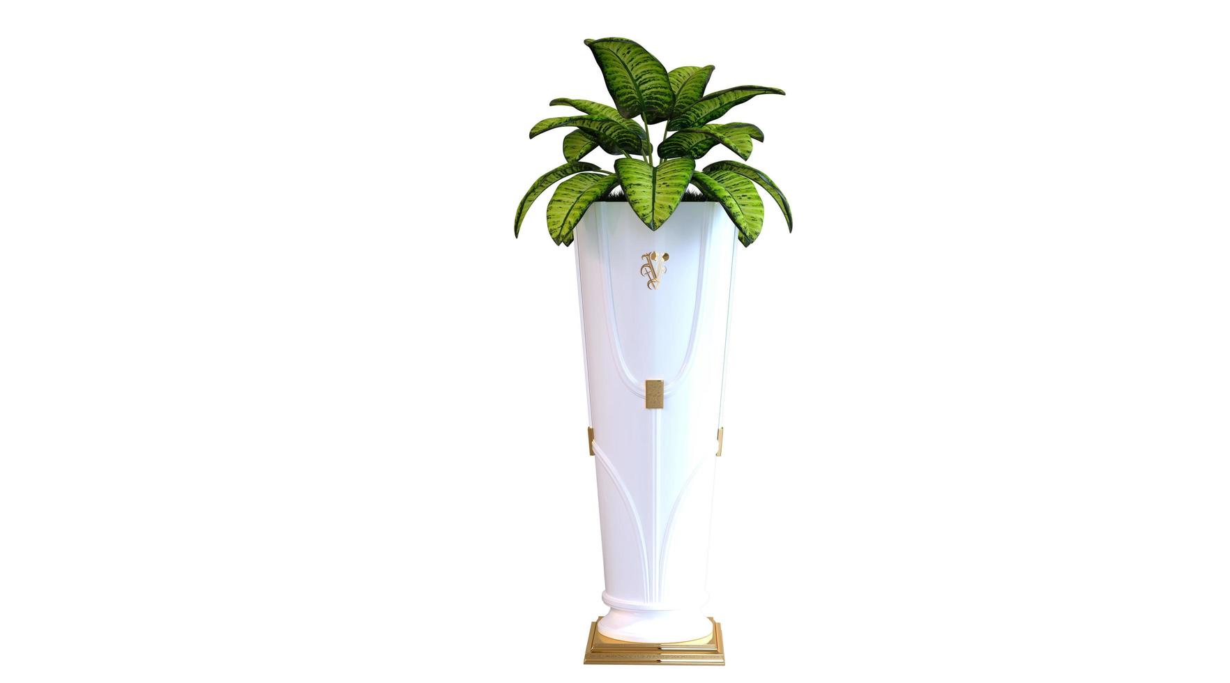 Houseplants in Ceramic Pot 3d Rendering photo