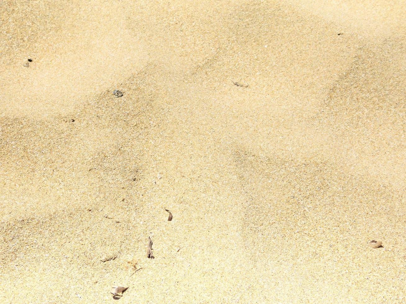 Outdoor sand texture photo