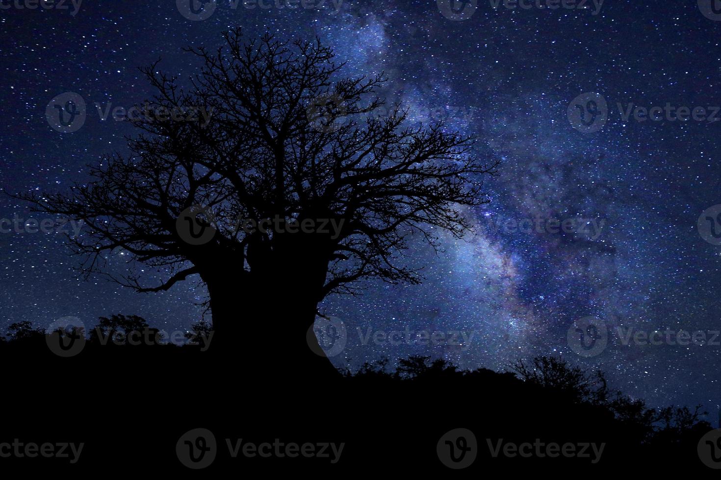Estelas de estrellas Milk Way en el cielo nocturno de Sudáfrica foto
