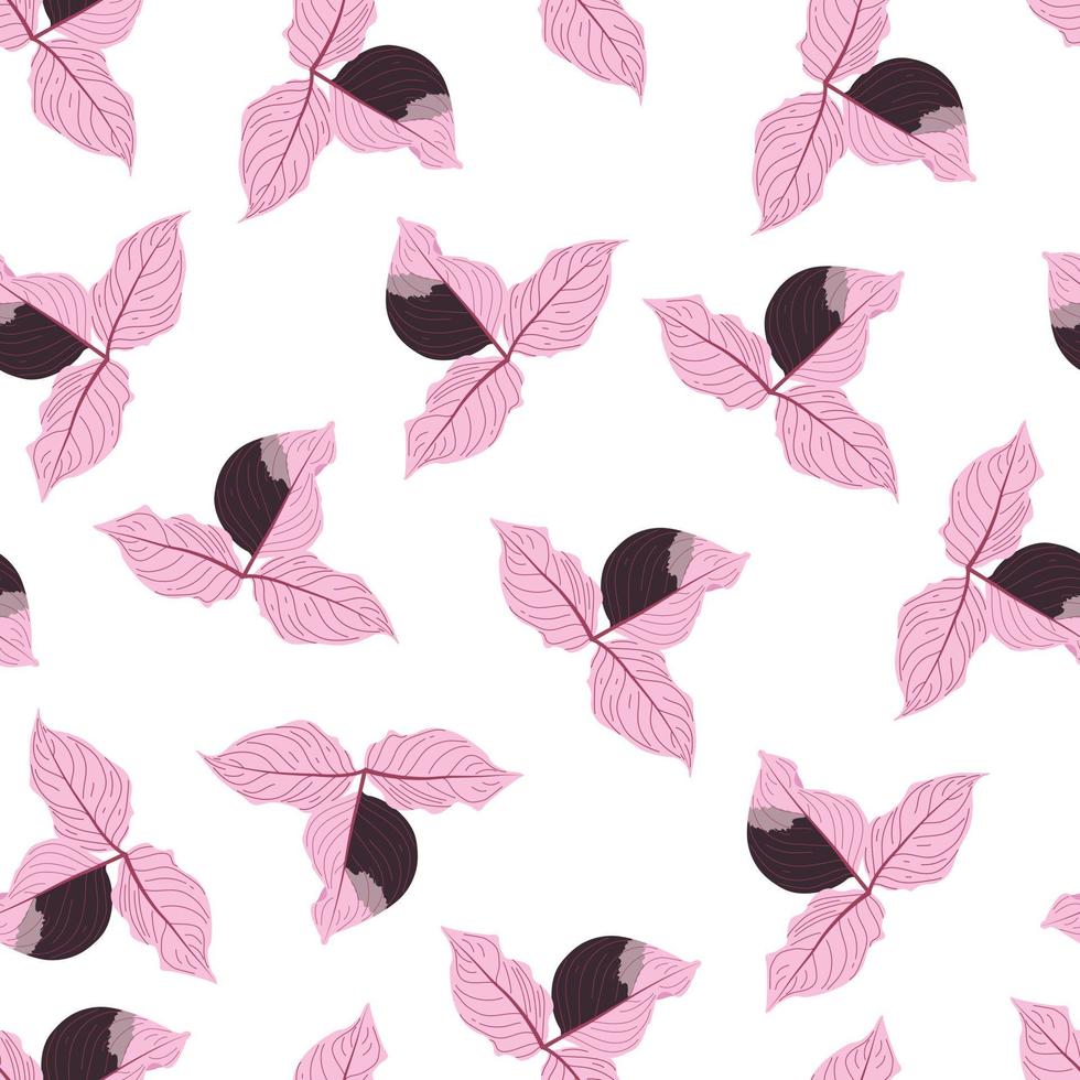 Seamless pattern with flat aglonema rotundom vector