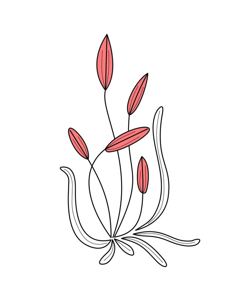 flower - color illustration isolated on white background. plant shrub with flower buds - thin lines logo in flat style hand drawn. flower buds - asymmetrical plant vector