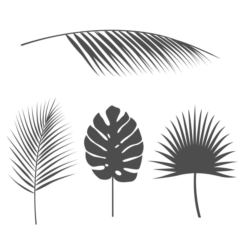 hojas tropicales, palmeras tropicales, conjunto de vectores de siluetas