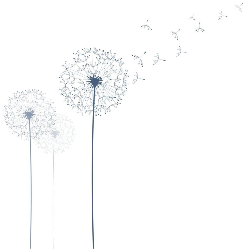 Dandelion hand drawn, linear stylish design vector